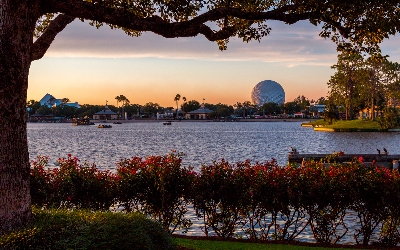 How to Enjoy Central Florida Like a Local