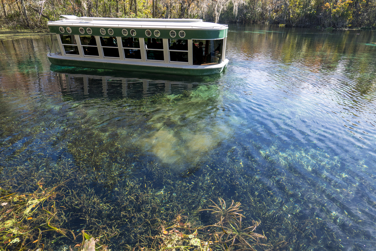 Glass Bottom Boats