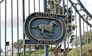 Autumn Downs Entrance