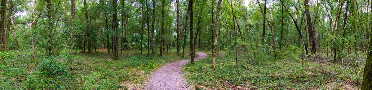 Yellow Trail - Rainbow Springs State Park in Dunnellon, Florida